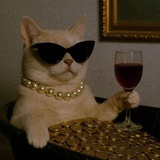Telegram profile photo for Шопоголичка в шоке