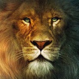 Telegram profile photo for КриптоНарния