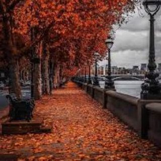Telegram profile photo for خريف ايلول 🍂