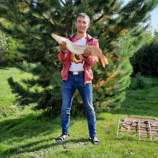 Telegram profile photo for Илья Трофимов