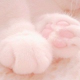 Telegram profile photo for 愛 wOrd's