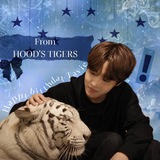 Telegram profile photo for From HOOD’s TIGERS