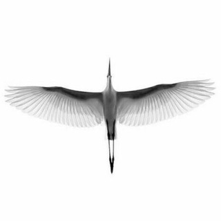 Telegram profile photo for عاشقانه ها (علاءالدين)