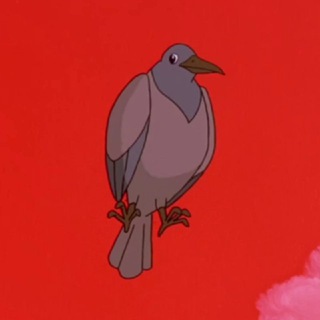 Telegram profile photo for It’s a bird.