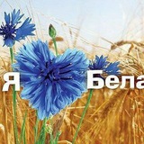 Telegram profile photo for Васильковая Беларусь