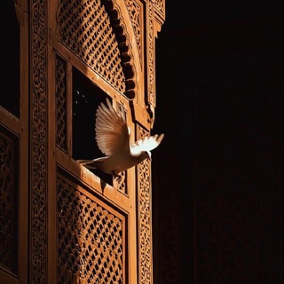 Telegram profile photo for أمَانِي.