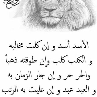 Telegram profile photo for 🌹💞حديث النفس💞🌹