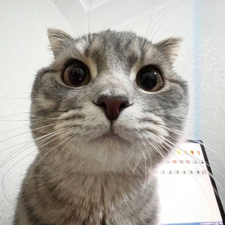 Telegram group profile photo for theGroup