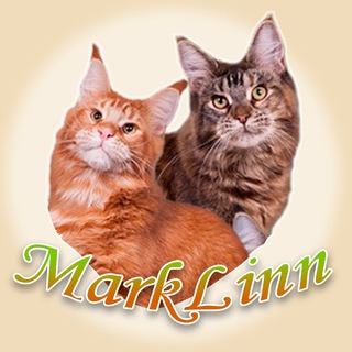 Telegram profile photo for 🐾MarkLinn | питомник мейн-кунов