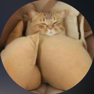 Telegram profile photo for 1111