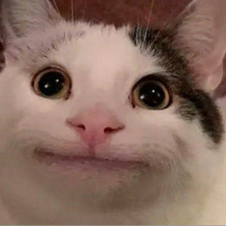 Telegram profile photo for HubCloud Support