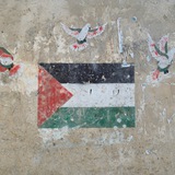 Telegram profile photo for المعادلة السياسية