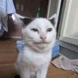 Telegram profile photo for Реклама PASS1ON