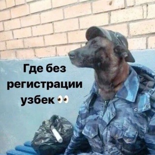 Telegram profile photo for Бессмыслица кф