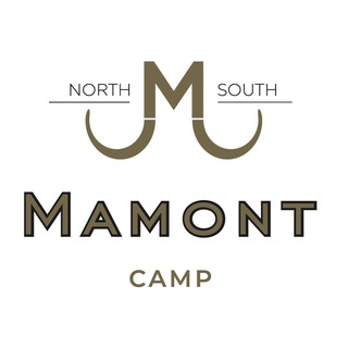 Telegram profile photo for Mamont Camp отзывы