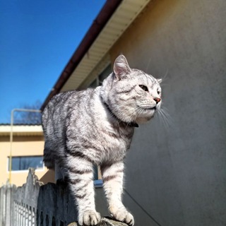 Telegram profile photo for Будни Марса 😻
