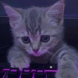 Telegram profile photo for Standoff_P1dvaL