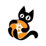Telegram profile photo for Crypto Kat