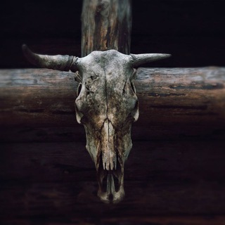 Telegram profile photo for Western Pic