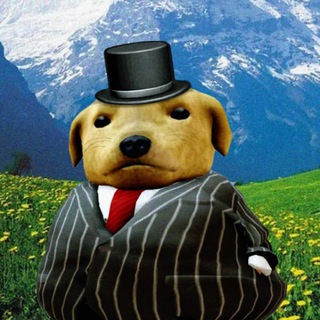 Telegram profile photo for Blocktoss Vods