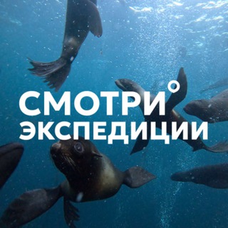 Telegram profile photo for Смотри экспедиции