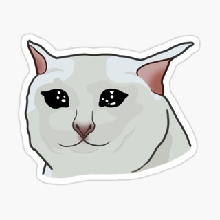 Telegram profile photo for $MEOW