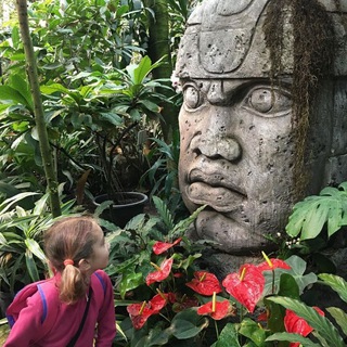 Telegram profile photo for Болтаем в тропиках Аптекарского огорода 🌴
