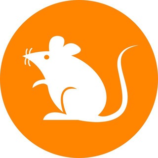 Telegram profile photo for Rats English