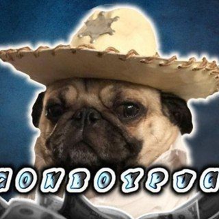 Telegram profile photo for wertyx Bs