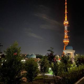 Telegram profile photo for Storis