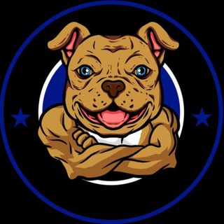 Telegram group profile photo for TY.American Token Global