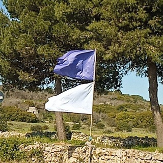 Telegram profile photo for Soluzioni Libertarie