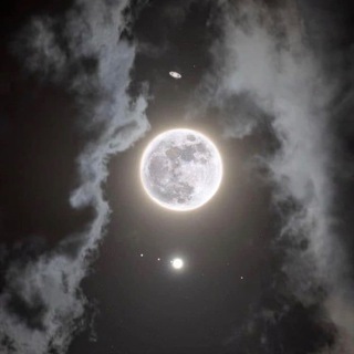 Telegram profile photo for blue moon vpn