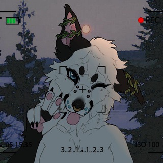 Telegram profile photo for Kotletowy_furas art :3🎨