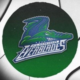 Telegram profile photo for Florida Everblades