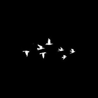 Telegram profile photo for memento mori