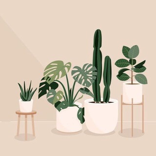 Telegram profile photo for إتساع👩🏻🌾🌿.
