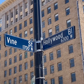 Telegram profile photo for Hollywood and Vine