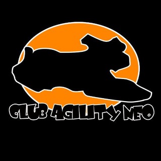Telegram profile photo for CLUB AGILITY NEO