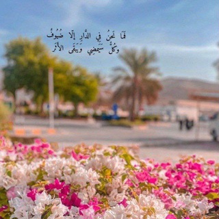 Telegram profile photo for ذِكْـر | Qu'ran