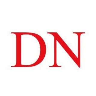 Telegram profile photo for DutchNews.nl | NL News in English