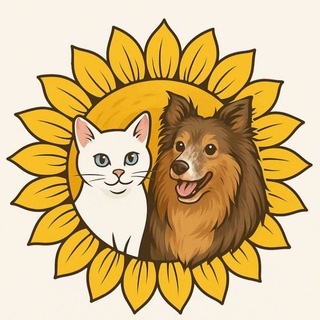 Telegram profile photo for ВО ИМЯ ЖИЗНИ
