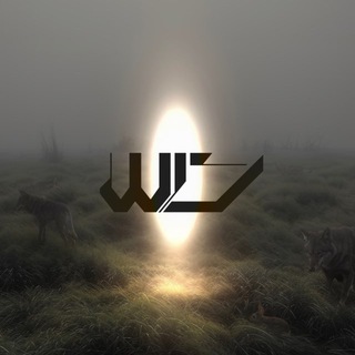 Telegram profile photo for W17