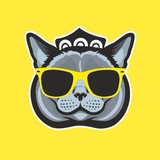 Telegram profile photo for Navoiy chat