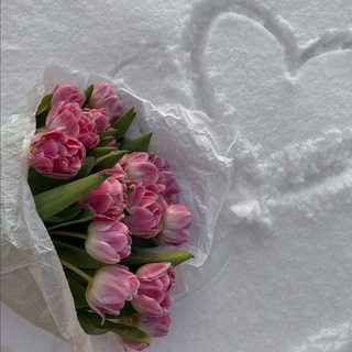 Telegram profile photo for غيم♡