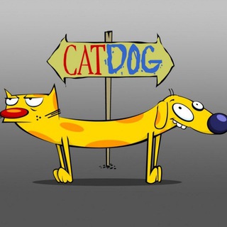 Telegram profile photo for Котопес