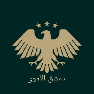 Telegram profile photo for دمشق الأموي