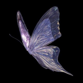Telegram profile photo for 𝐓𝐄𝐀𝐌 𝐀𝐒𝐄𝐌𝐀𝐍𝐈