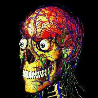 Telegram profile photo for 🤯 Вижити в Меді 👨⚕️💉