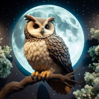 Telegram group profile photo for 👁 Ночная сова 👩🦰👨🦰